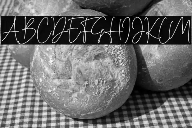 Cassual Signature Font examples