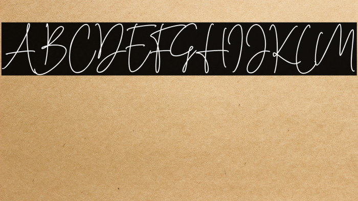 Cassual Signature Example 3