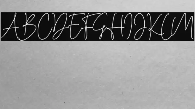 Cassual Signature Font examples