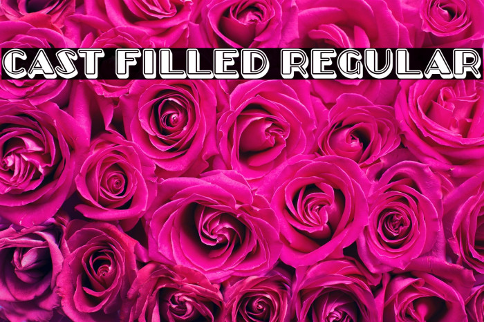 Cast Filled Regular Example 3