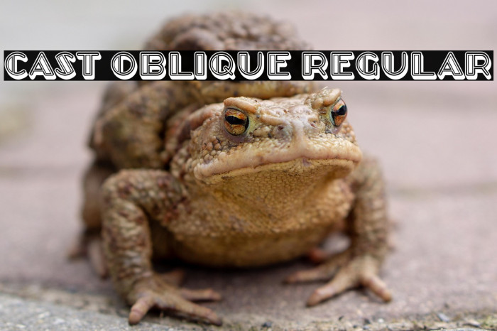 Cast Oblique Regular Example 3