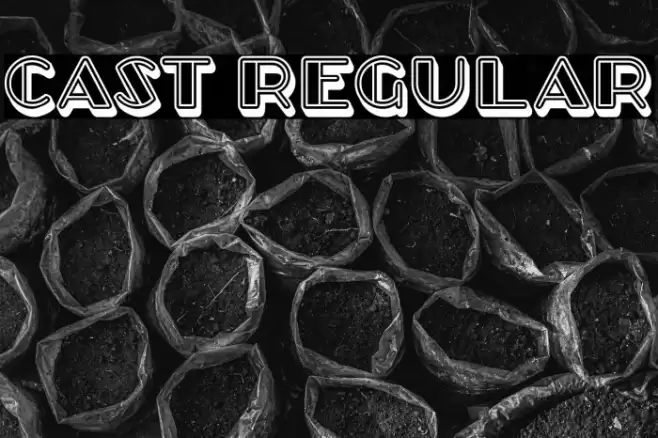 Cast Regular Font examples