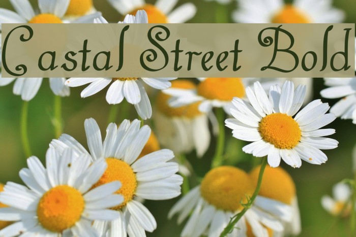 Castal Street Bold Font examples