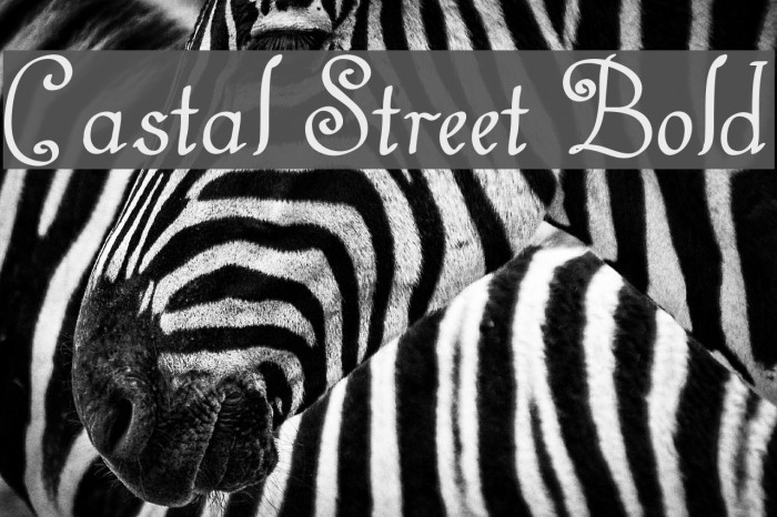 Castal Street Bold Font examples