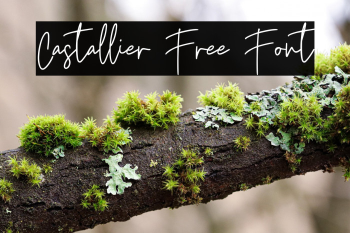 Castallier Free Font Example 2