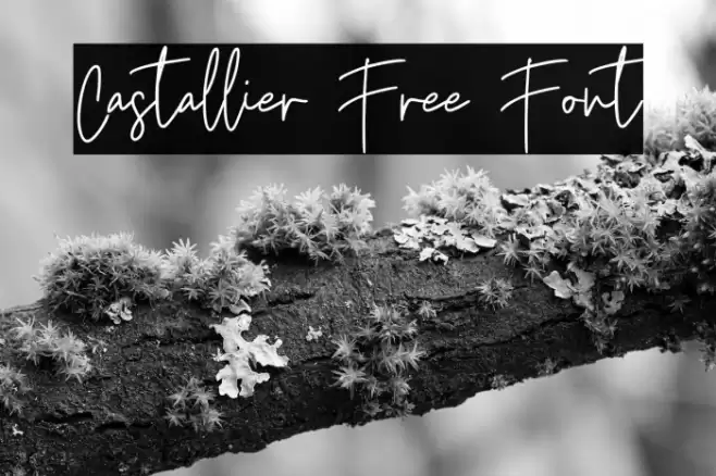 Castallier Free Font Font examples