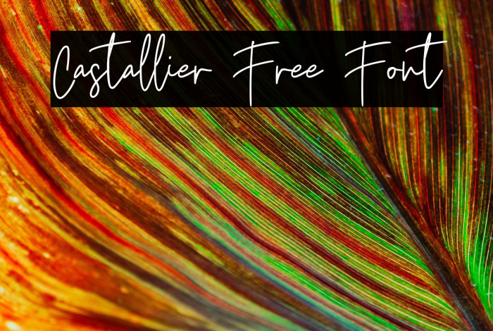 Castallier Free Font Example 3