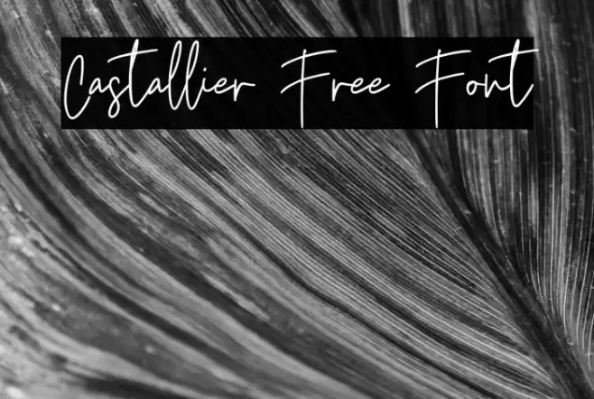 Castallier Free Font Font examples