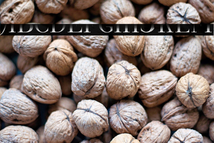 CastawayFillv-MediumInline Example 1