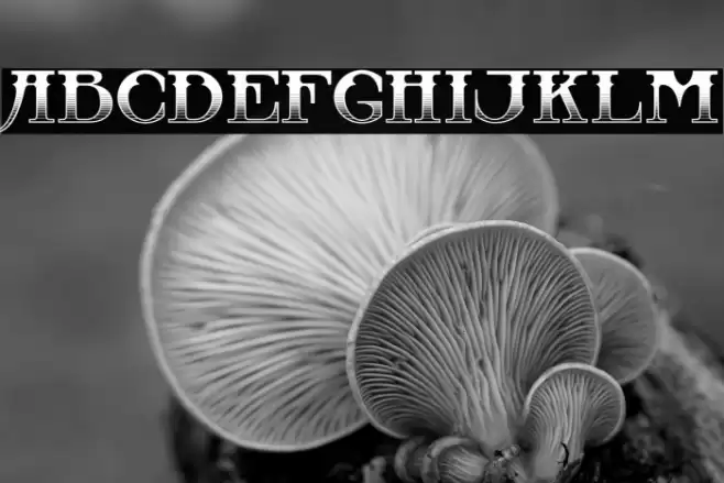 CastawayInlinev-MediumInline Font examples