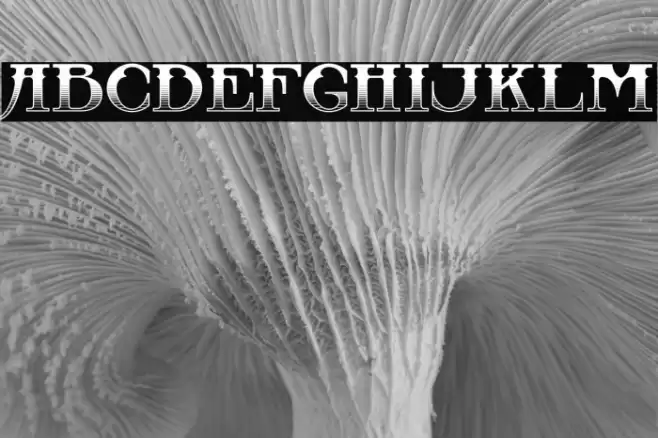 CastawayInlinev-MediumInline Font examples