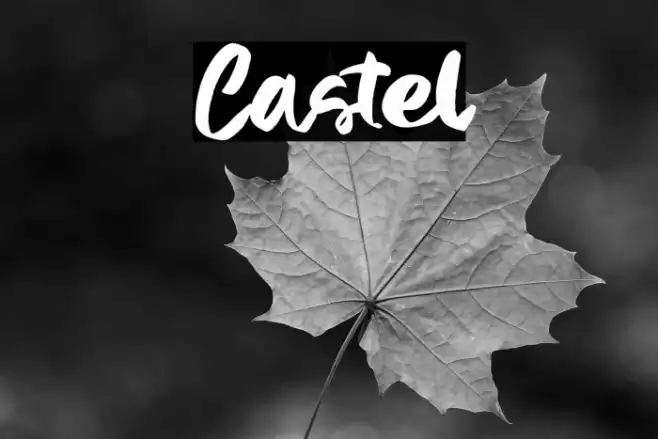 Castel Шрифта examples