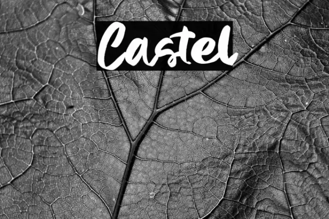 Castel Шрифта examples