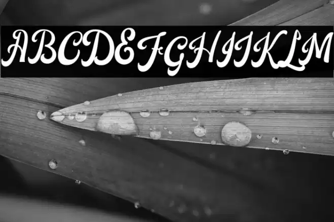 Castela Font examples