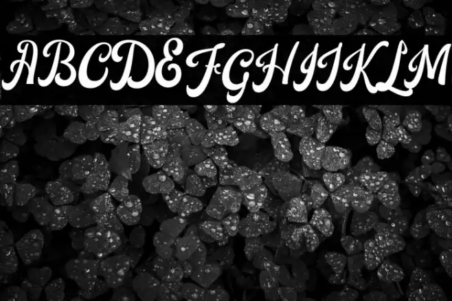 Castela Font examples