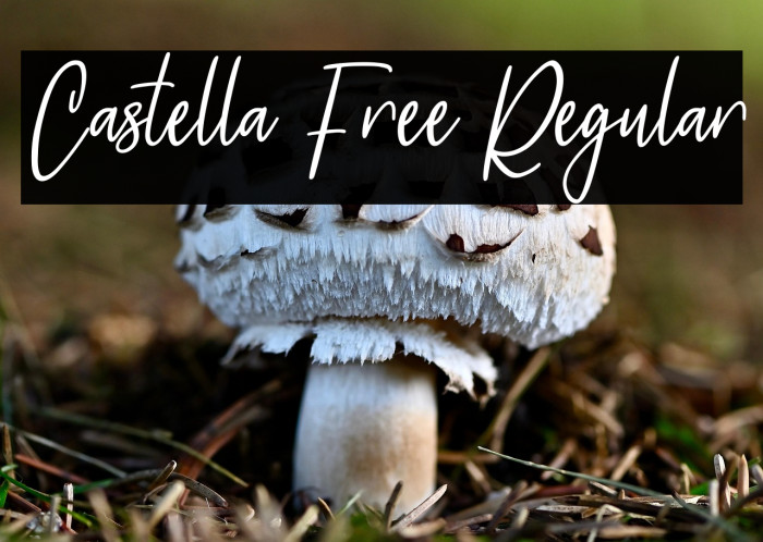 Castella Free Regular Example 2