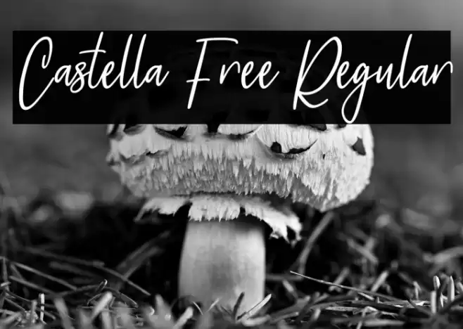 Castella Free Regular Caratteri examples