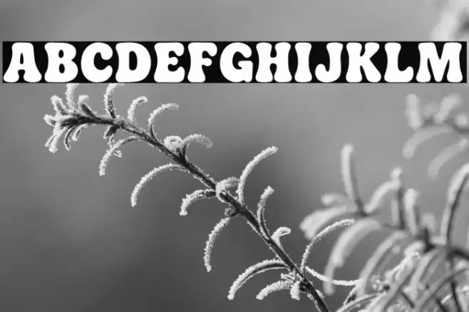 Castelle フォント examples