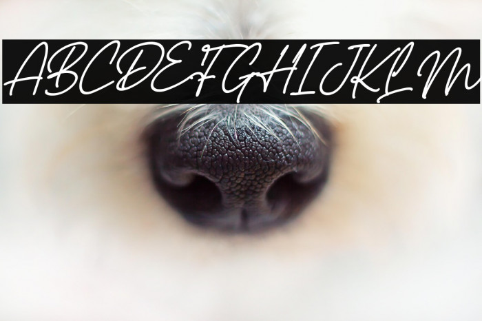 Castello Italic Example 2