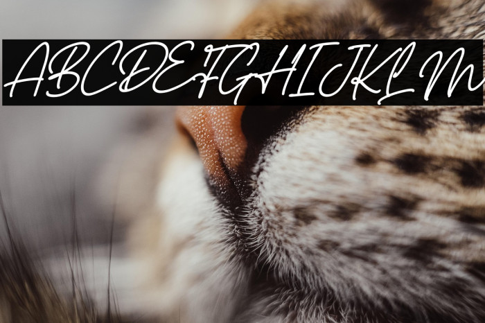 Castello Italic Example 1