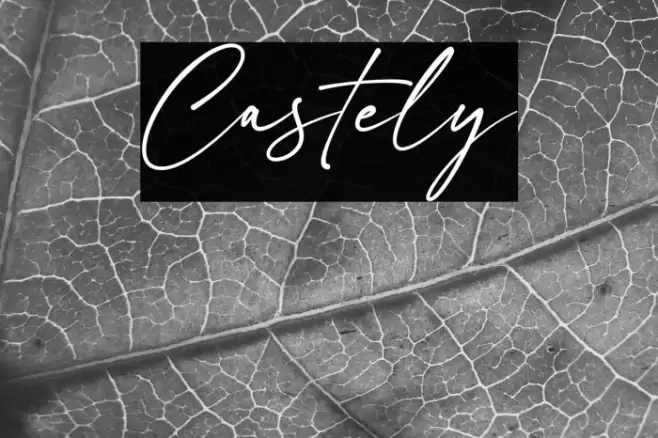 Castely Font examples