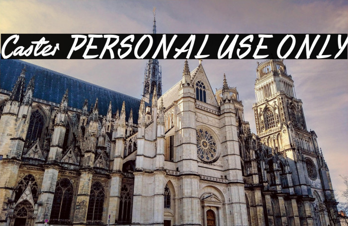 Caster PERSONAL USE ONLY Example 1