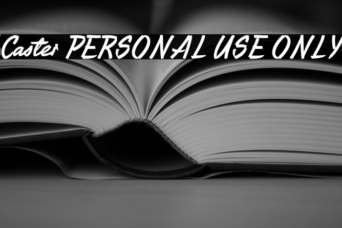 Caster PERSONAL USE ONLY Example 2