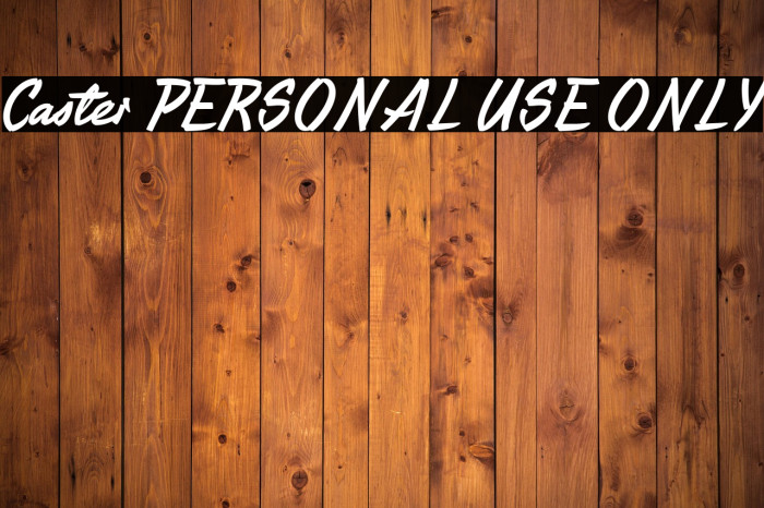 Caster PERSONAL USE ONLY Example 3