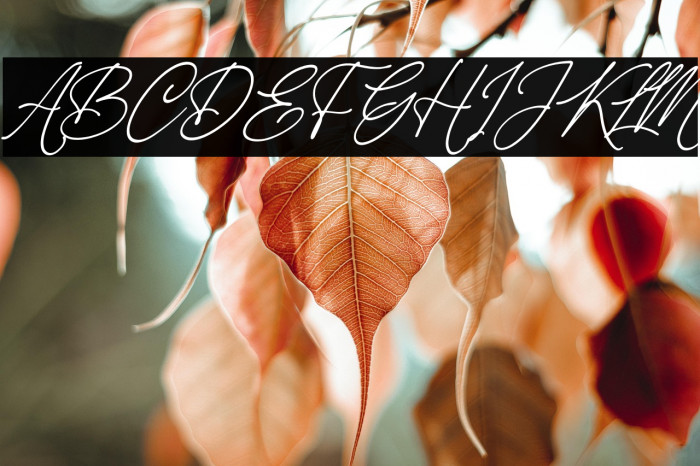 Casterdam Belatica Italic Example 3