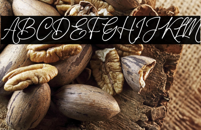 Casterdam Belatica Example 2