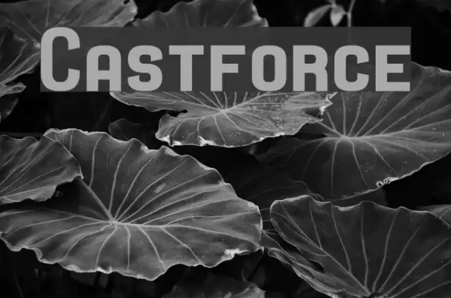 Castforce Font examples
