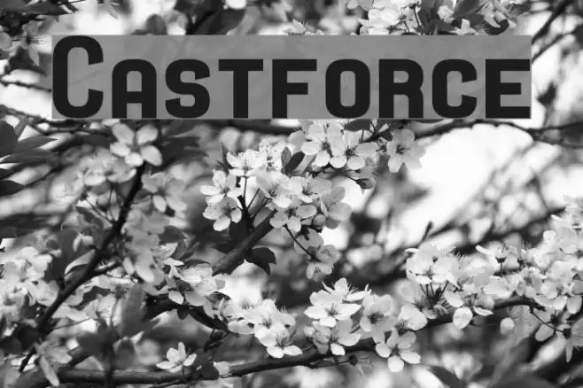 Castforce Font examples