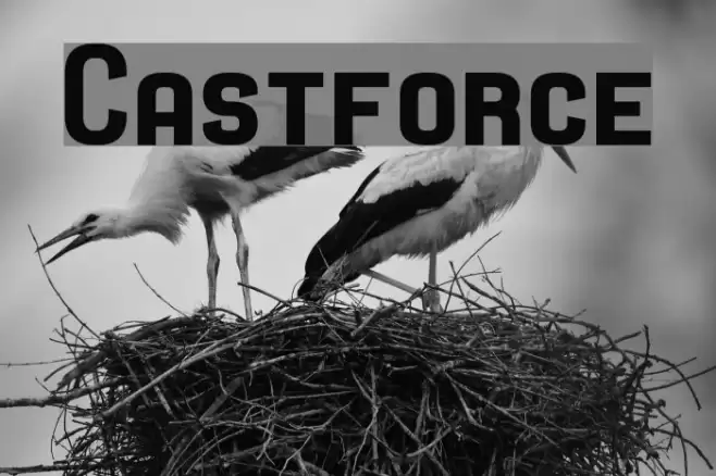 Castforce Font examples