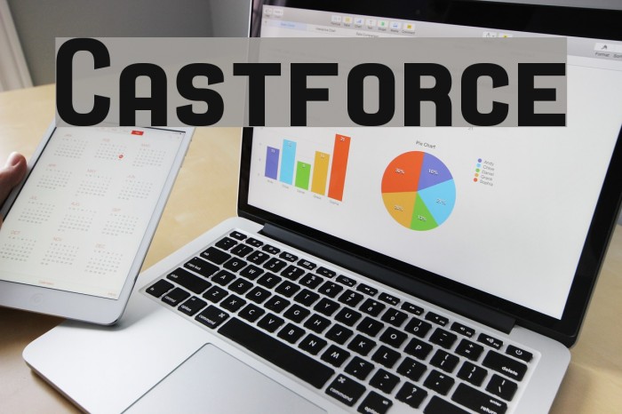 Castforce Font examples