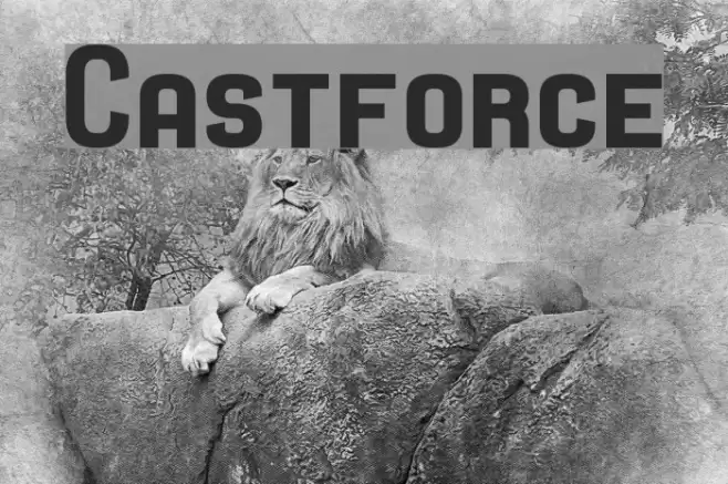 Castforce Font examples
