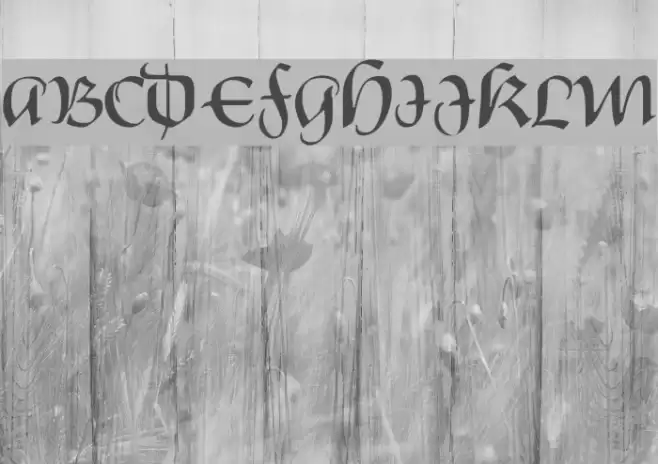 Castiglione Regular Font examples