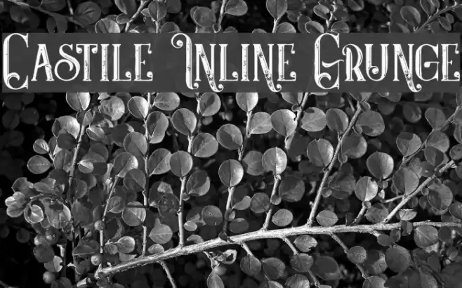 Castile Inline Grunge Font examples
