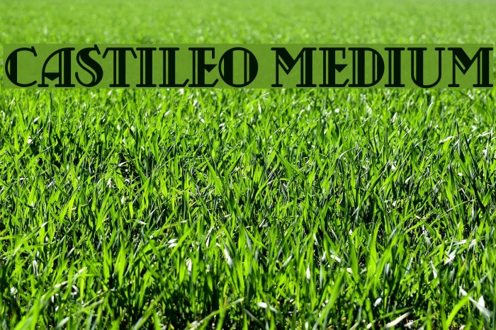 Castileo Medium Font examples
