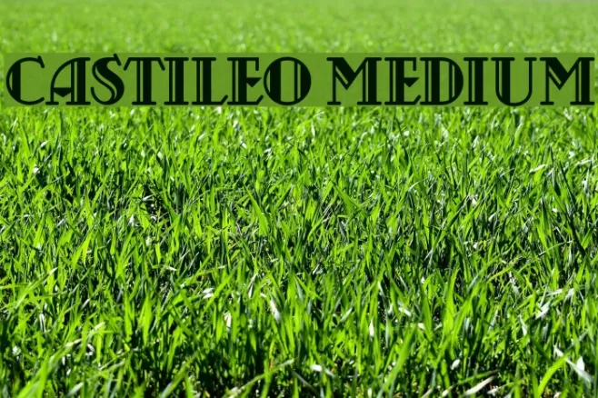 Castileo Medium Example 3