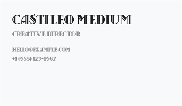 Castileo Medium Business Card