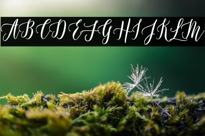 Castilla Script Example 1