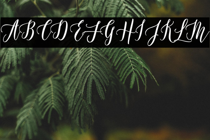 Castilla Script Example 2