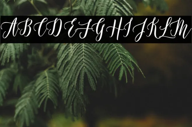 Castilla Script Example 2