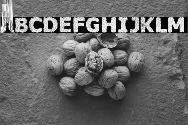 Castilla Viva! Font examples