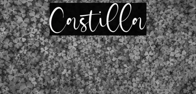 Castilla Font examples