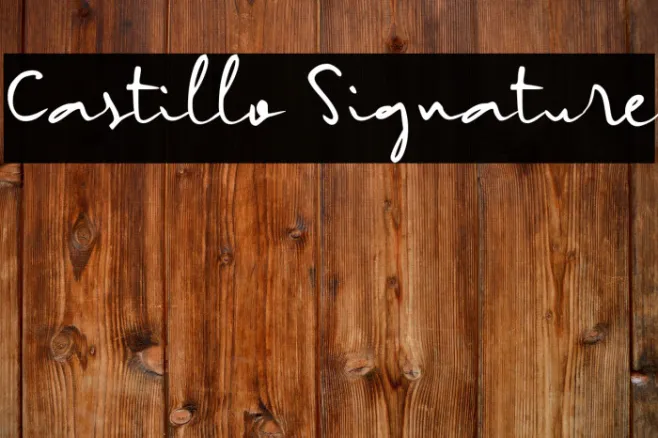 Castillo Signature Example 1