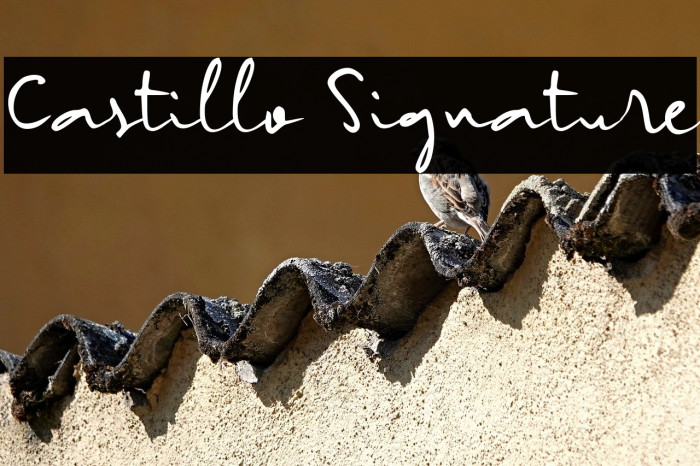 Castillo Signature Example 2