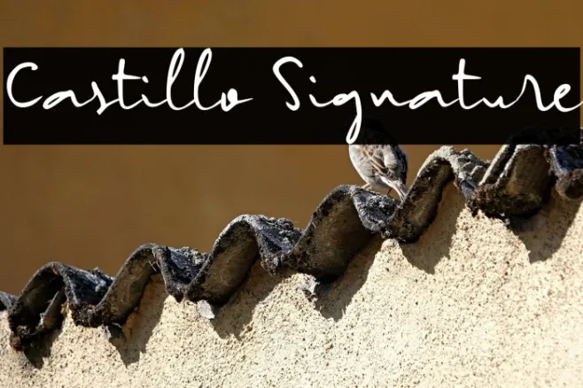 Castillo Signature Example 2