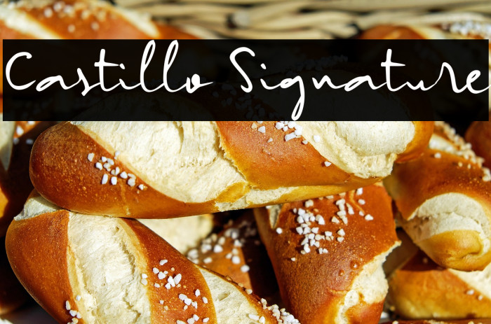 Castillo Signature Example 3