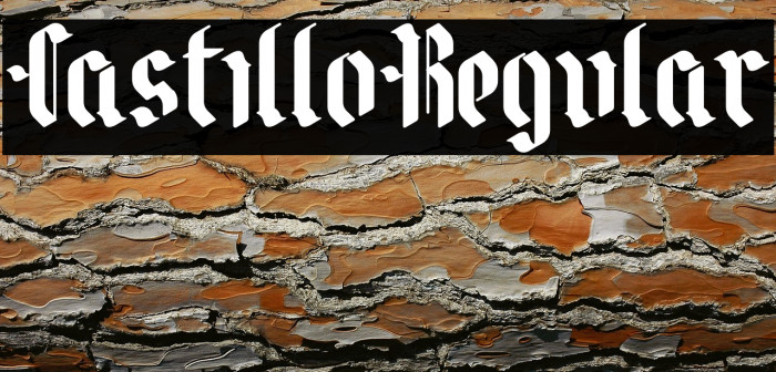 CastilloRegular Example 1